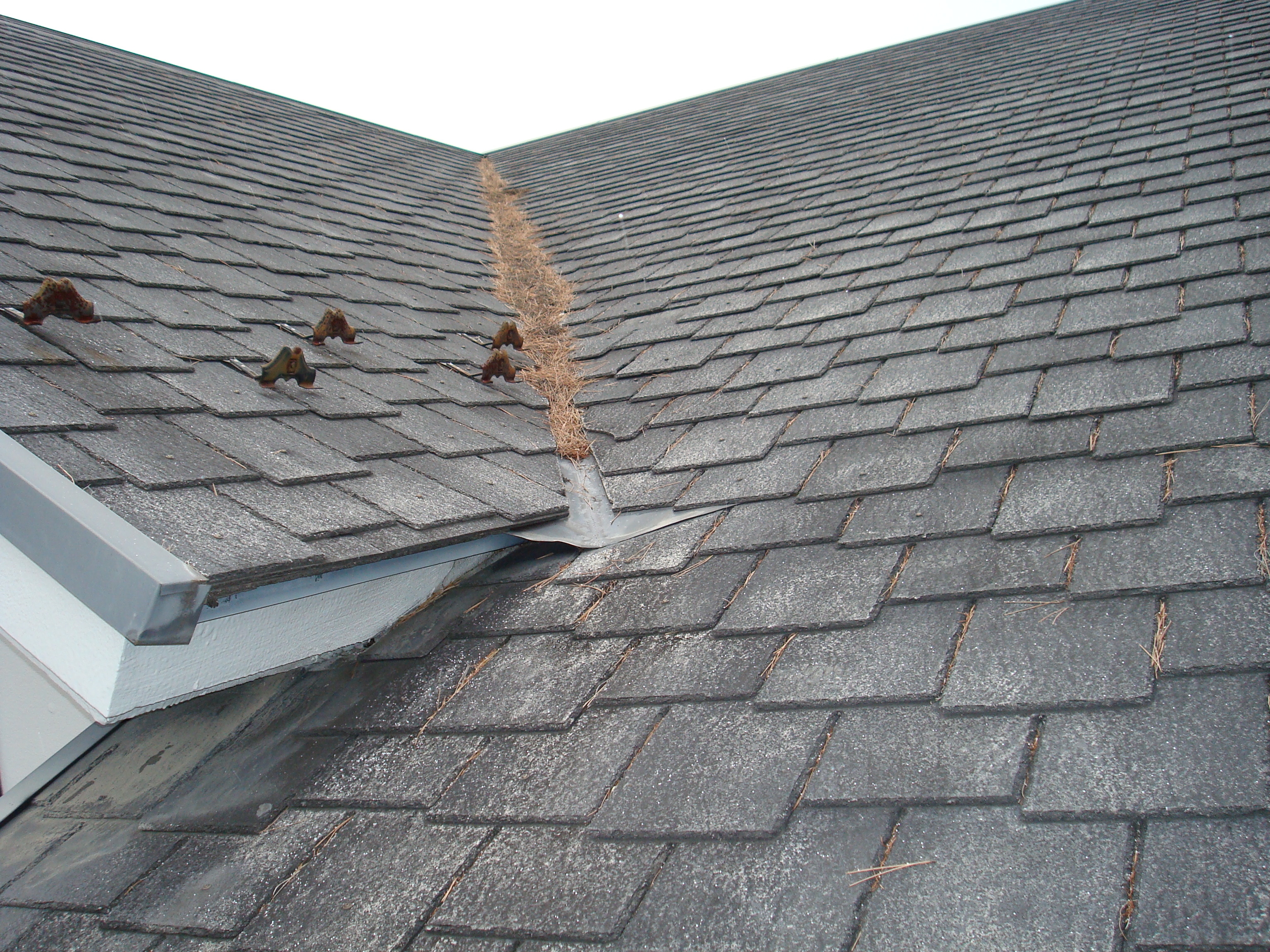 屋根リフォーム リノベーション 株式会社 松田